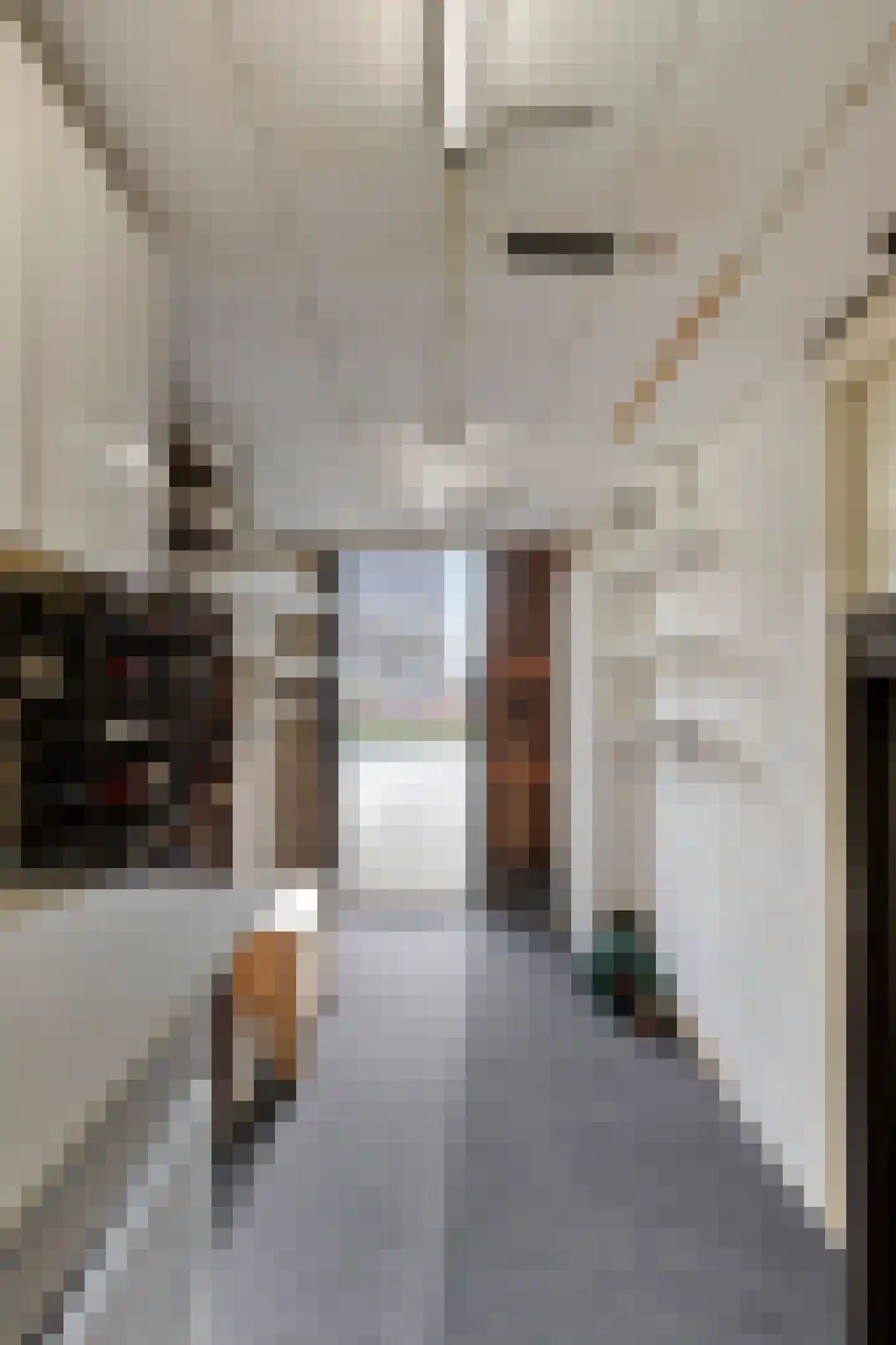 Sloppenbrugge 29 Rijsenhout thumbnail 18