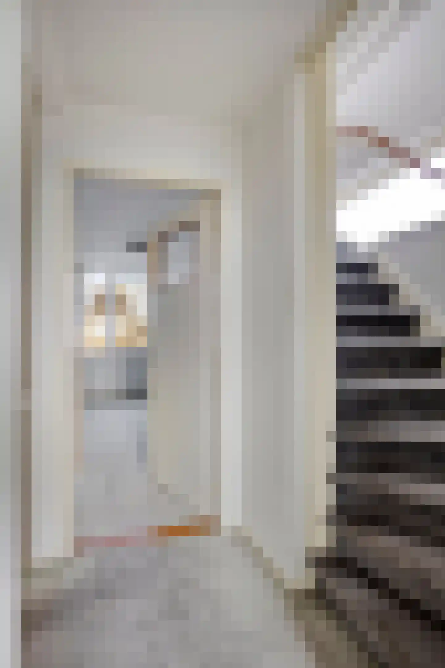 Sloppenbrugge 29 Rijsenhout thumbnail 27