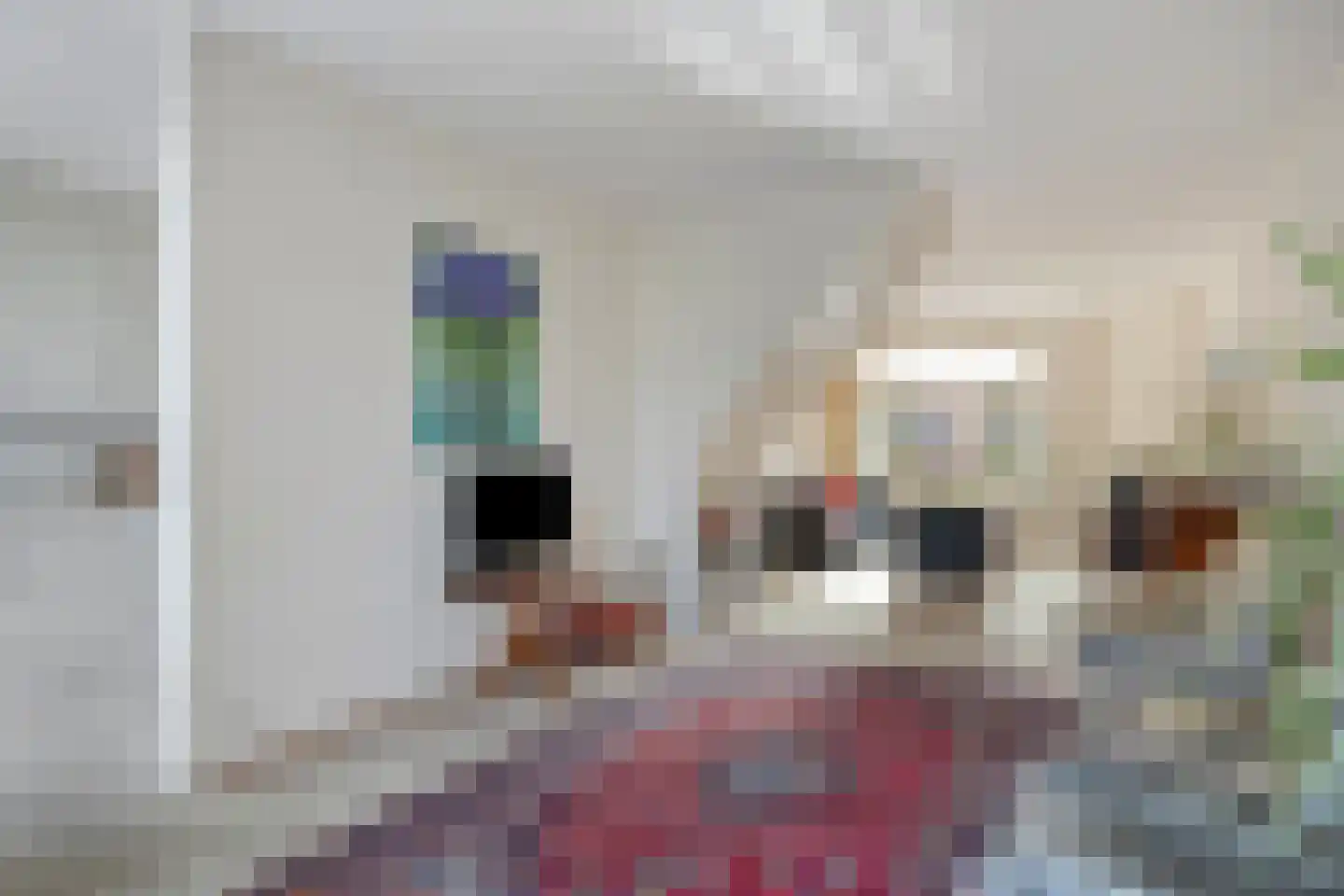 Sloppenbrugge 29 Rijsenhout thumbnail 6
