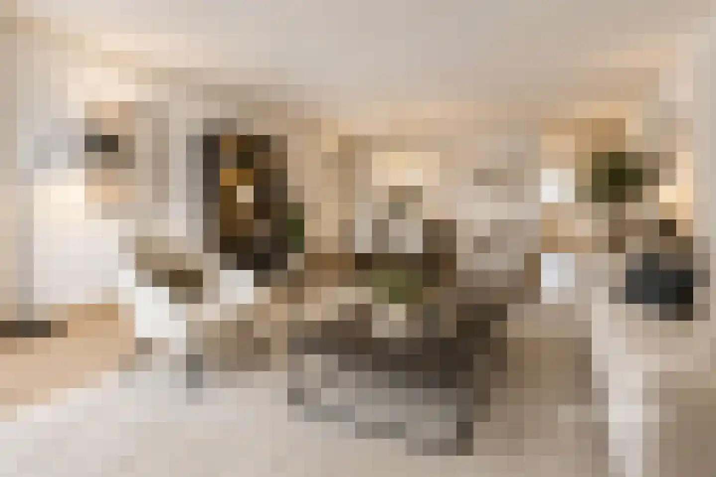 Slot 49 Almelo thumbnail 15