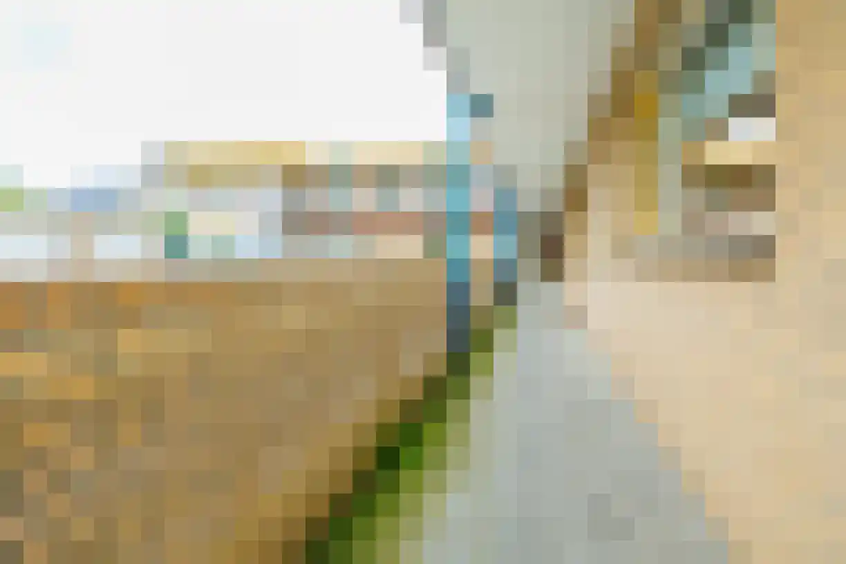 Slot 49 Almelo thumbnail 8