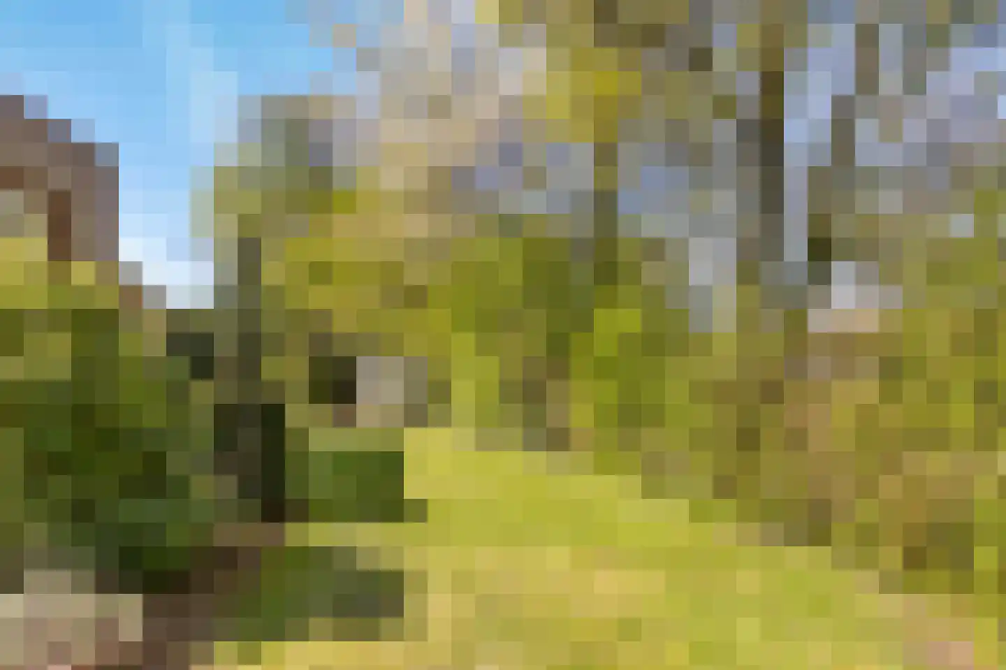 Slot Aldeborglaan 4 Hoensbroek thumbnail 14