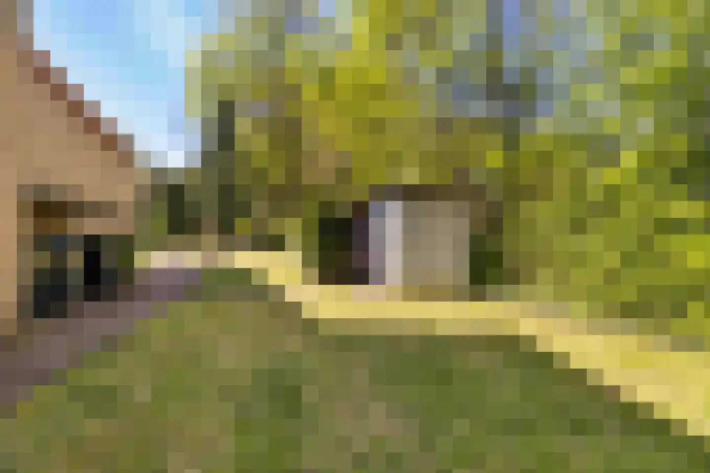 Slot Aldeborglaan 4 Hoensbroek thumbnail 15