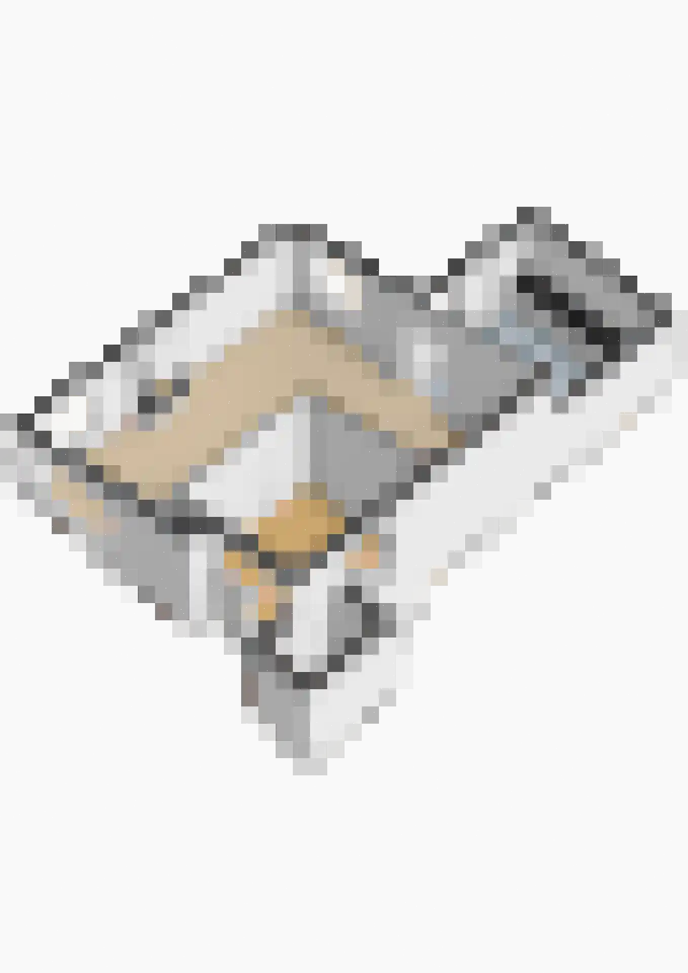 Slot Aldeborglaan 4 Hoensbroek thumbnail 36