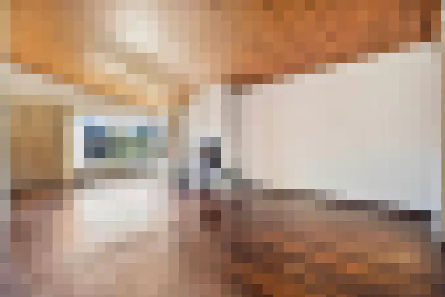 Slot Aldeborglaan 4 Hoensbroek thumbnail 5