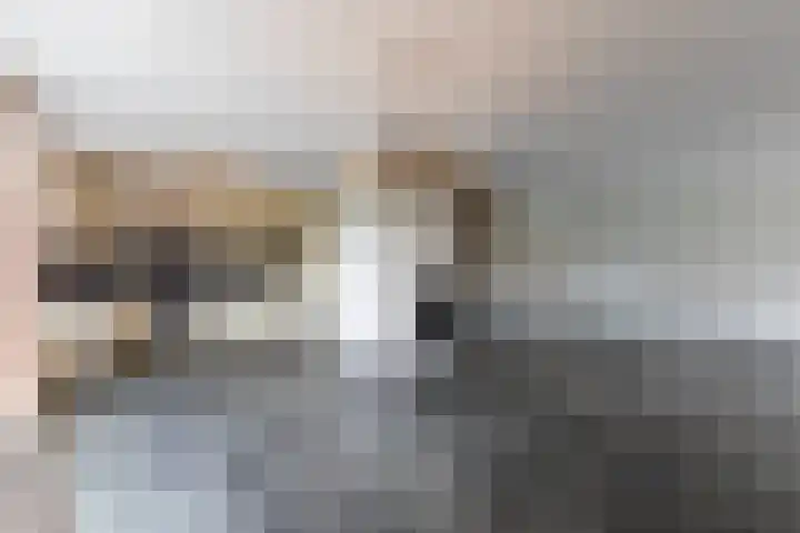 Slot Aldeborglaan 5 Hoensbroek thumbnail 5