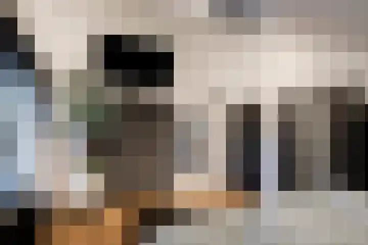 Slot Aldeborglaan 9 Hoensbroek thumbnail 21