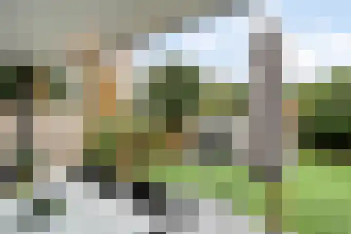 Slot Aldeborglaan 9 Hoensbroek thumbnail 40