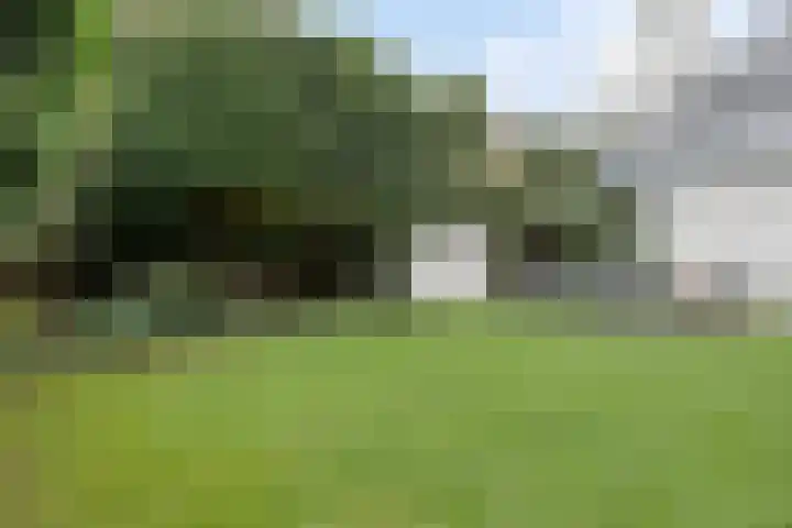 Slot Aldeborglaan 9 Hoensbroek thumbnail 42