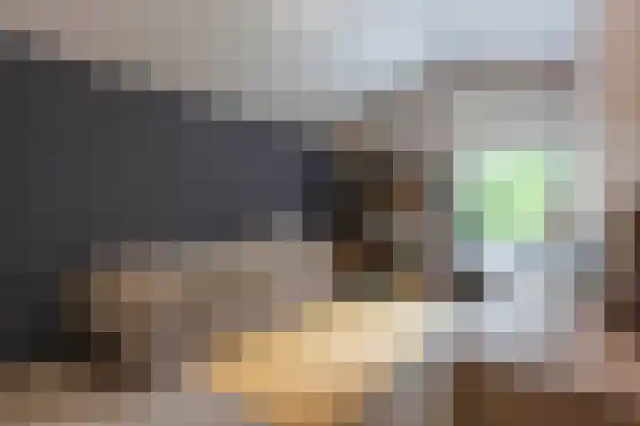 Slot Blyenbeeklaan 9 Hoensbroek thumbnail 17