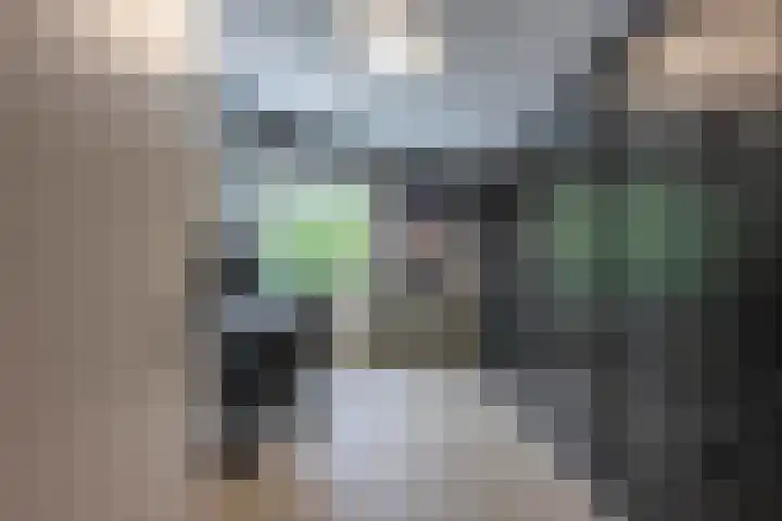 Slot Blyenbeeklaan 9 Hoensbroek thumbnail 23