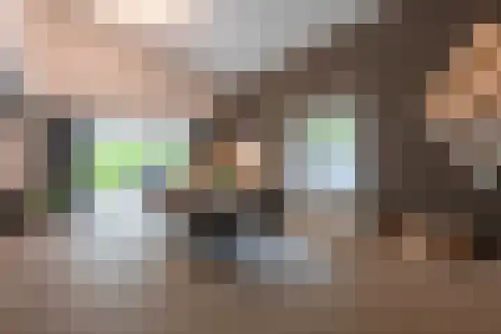 Slot Blyenbeeklaan 9 Hoensbroek thumbnail 24