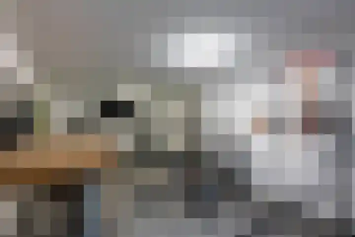 Slot Blyenbeeklaan 9 Hoensbroek thumbnail 26