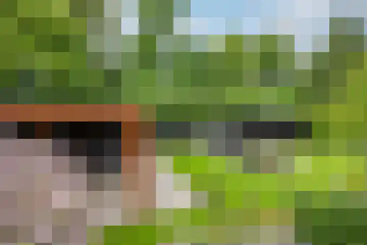 Slot Blyenbeeklaan 9 Hoensbroek thumbnail 28