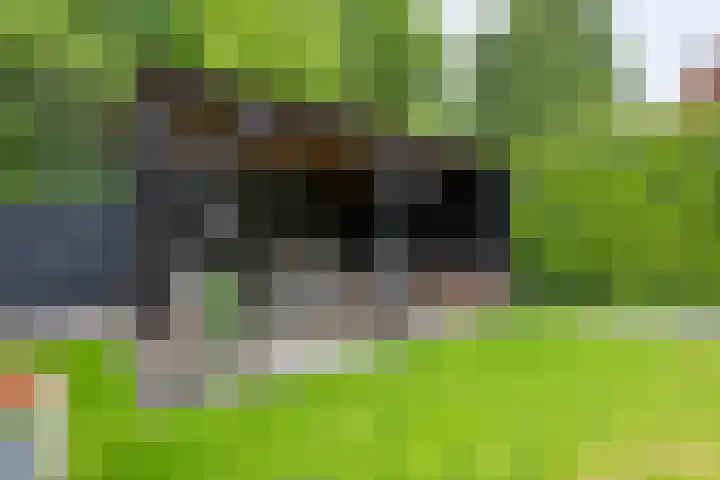 Slot Blyenbeeklaan 9 Hoensbroek thumbnail 32