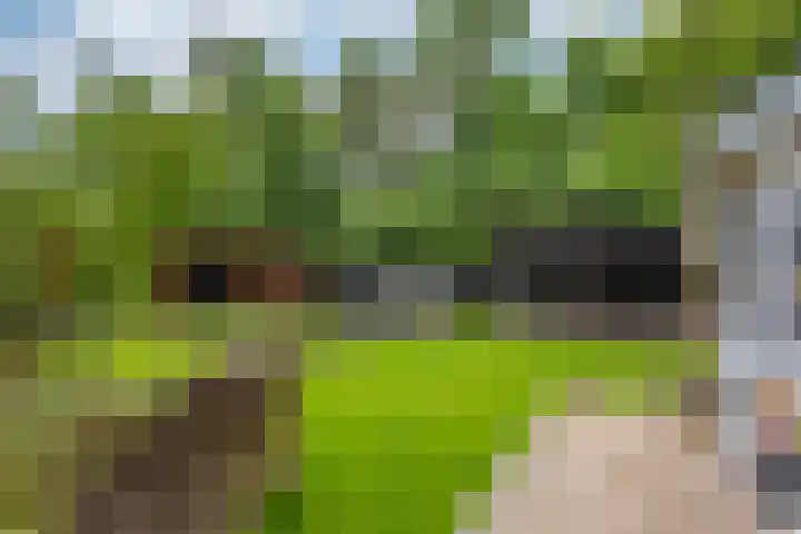 Slot Blyenbeeklaan 9 Hoensbroek thumbnail 33