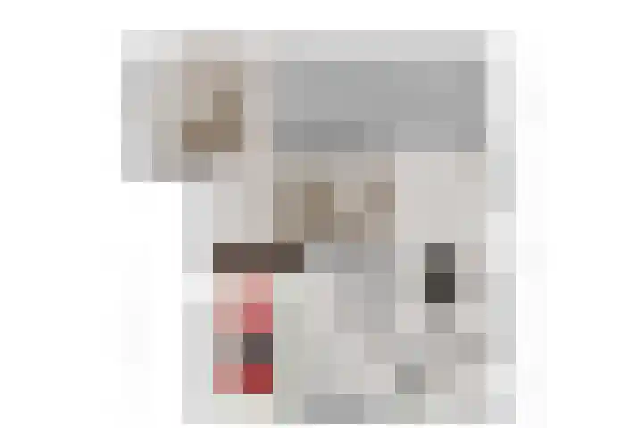 Slot Blyenbeeklaan 9 Hoensbroek thumbnail 35