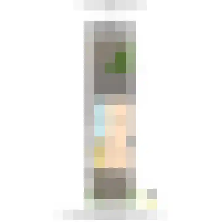 Slot de Houvelaan 25 Maasland thumbnail 43