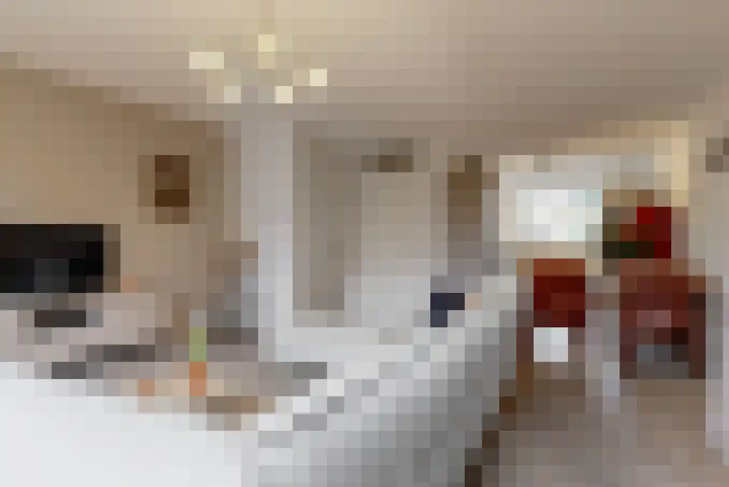 Slot de Houvelaan 26 e Maasland thumbnail 12