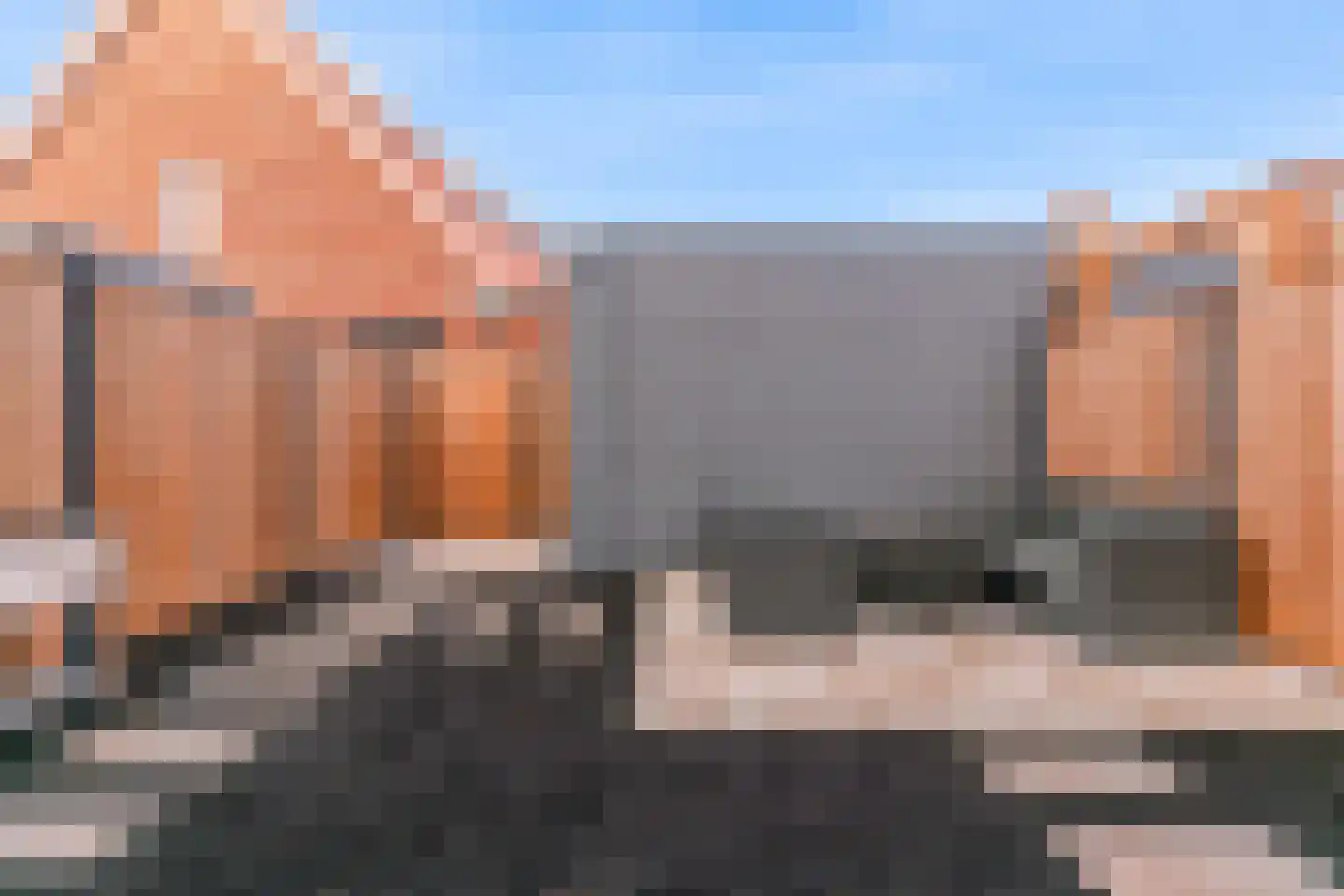 Slot de Houvelaan 26 e Maasland thumbnail 33