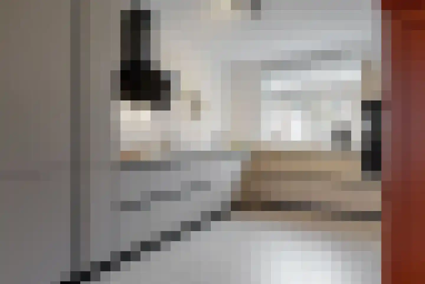 Slot de Houvelaan 26 e Maasland thumbnail 4
