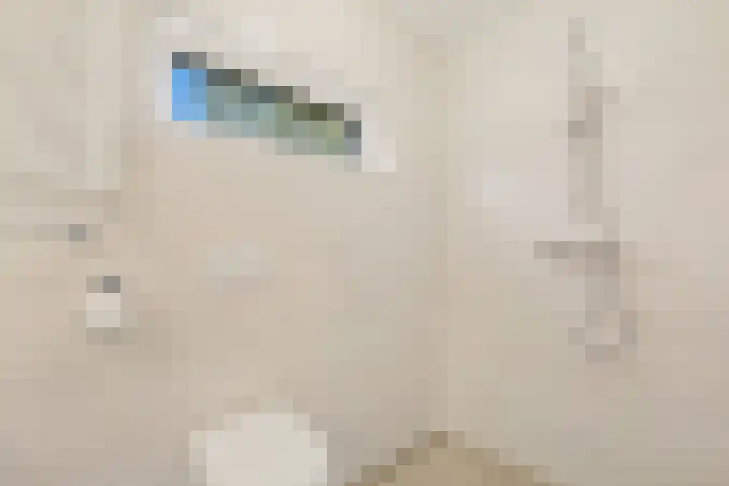 Slot de Houvelaan 29 Maasland thumbnail 38