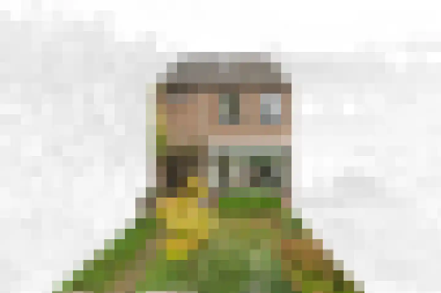 Slot de Houvelaan 29 Maasland thumbnail 5