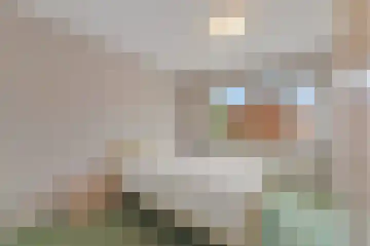 Slot de Houvelaan 38 Maasland thumbnail 23