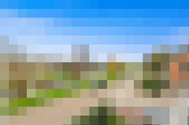 Slot de Houvelaan 38 Maasland thumbnail 34