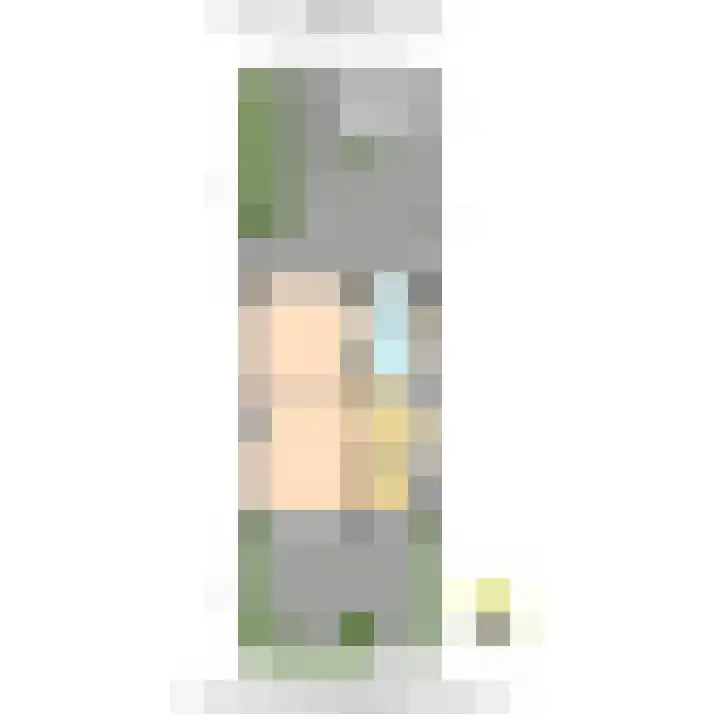 Slot de Houvelaan 38 Maasland thumbnail 39