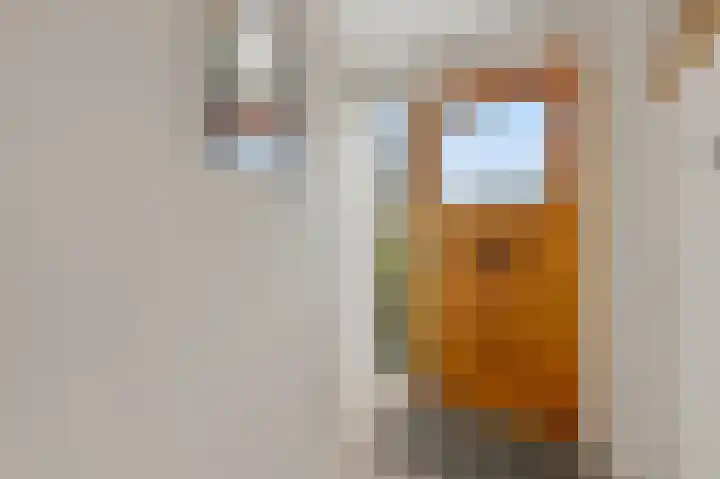 Slot de Houvelaan 38 Maasland thumbnail 7