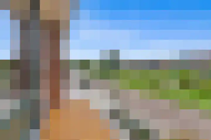 Slot de Houvelaan 48 Maasland thumbnail 29