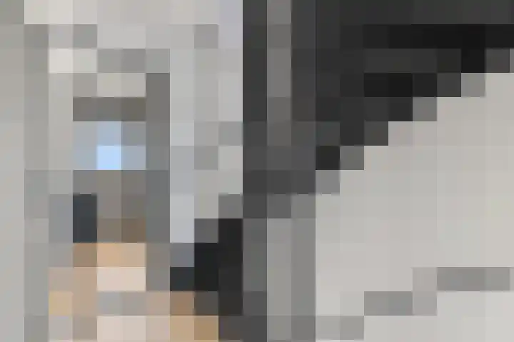 Slot de Houvelaan 48 Maasland thumbnail 31