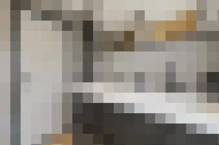 Slot de Houvelaan 48 Maasland thumbnail 33