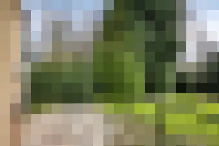 Slot Hillenradelaan 13 Hoensbroek thumbnail 40