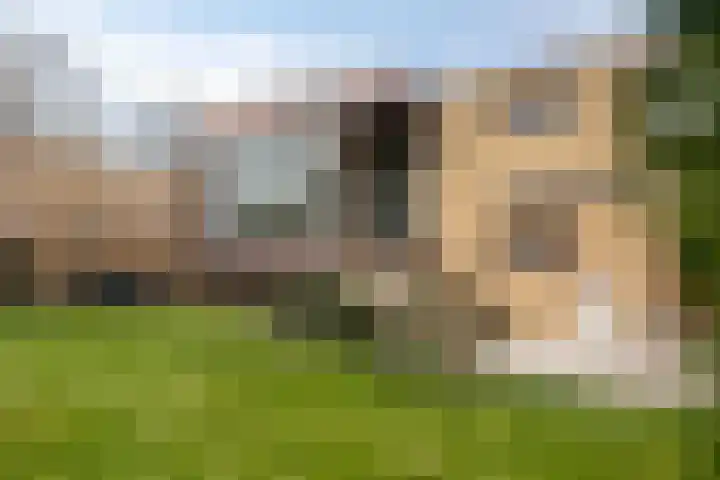 Slot Hillenradelaan 13 Hoensbroek thumbnail 42