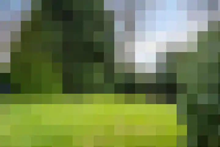 Slot Hillenradelaan 13 Hoensbroek thumbnail 43