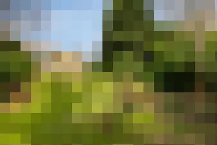 Slot Hillenradelaan 13 Hoensbroek thumbnail 44