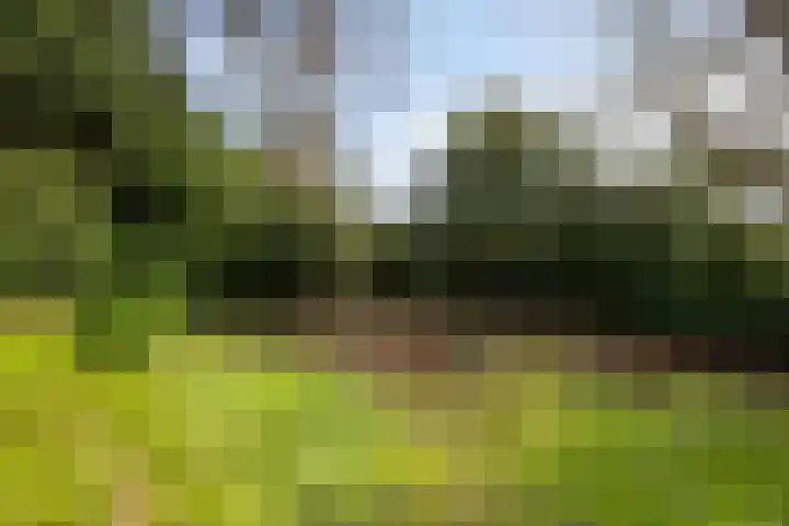 Slot Hillenradelaan 13 Hoensbroek thumbnail 45
