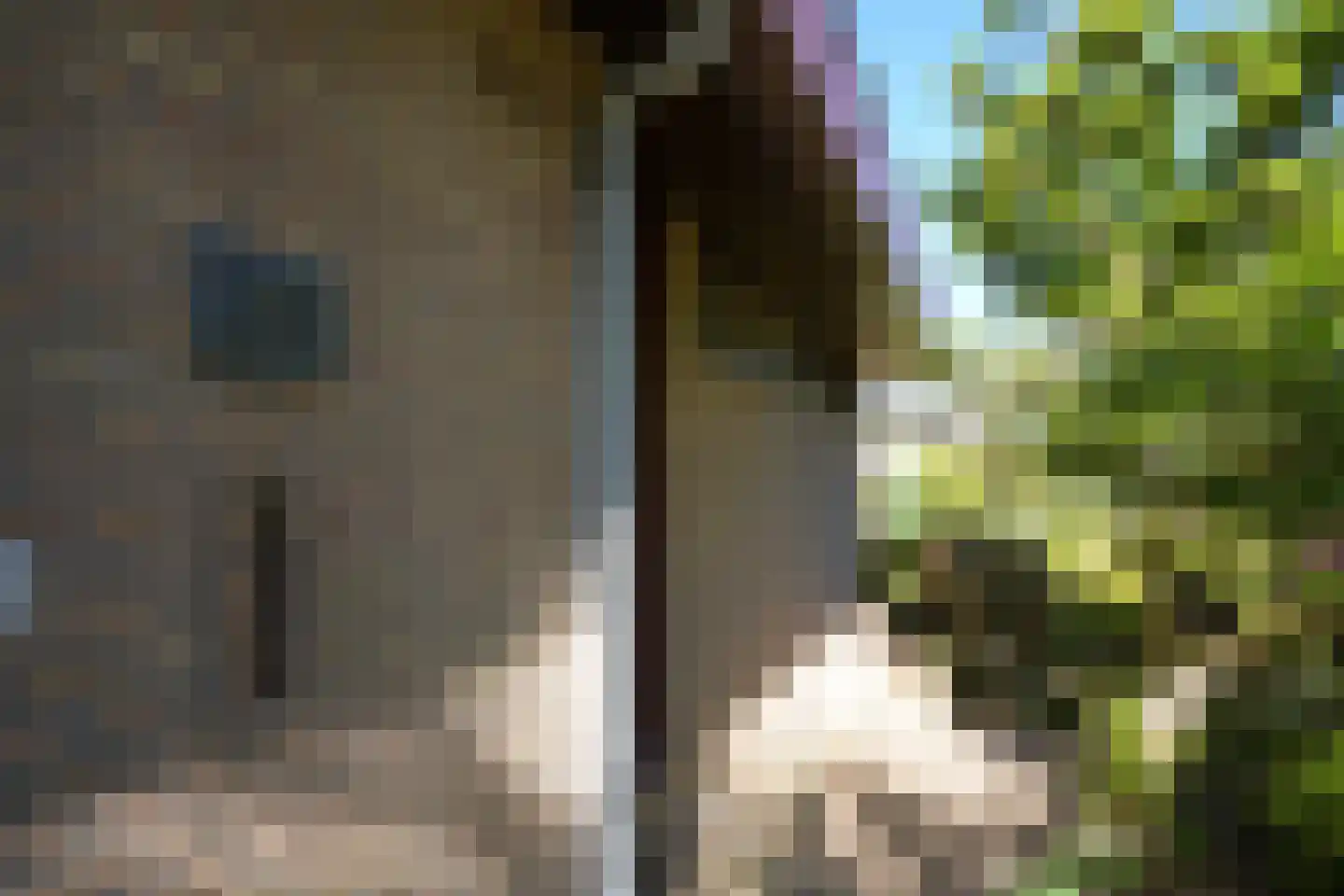 Slot Hillenradelaan 31 Hoensbroek thumbnail 52
