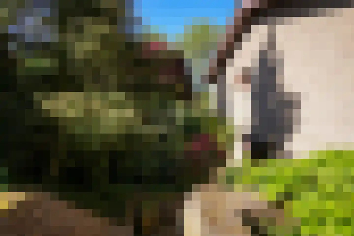 Slot Hillenradelaan 31 Hoensbroek thumbnail 53