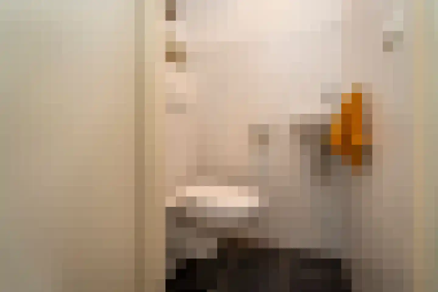 Slot Loevesteinstraat 1 Tilburg thumbnail 17