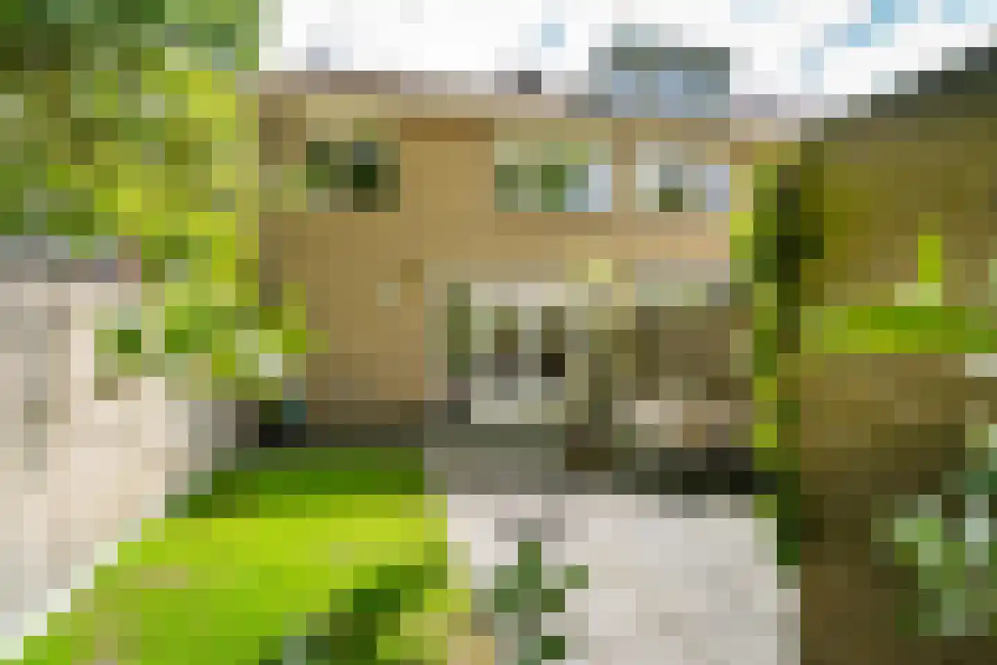 Slot Loevesteinstraat 1 Tilburg thumbnail 43