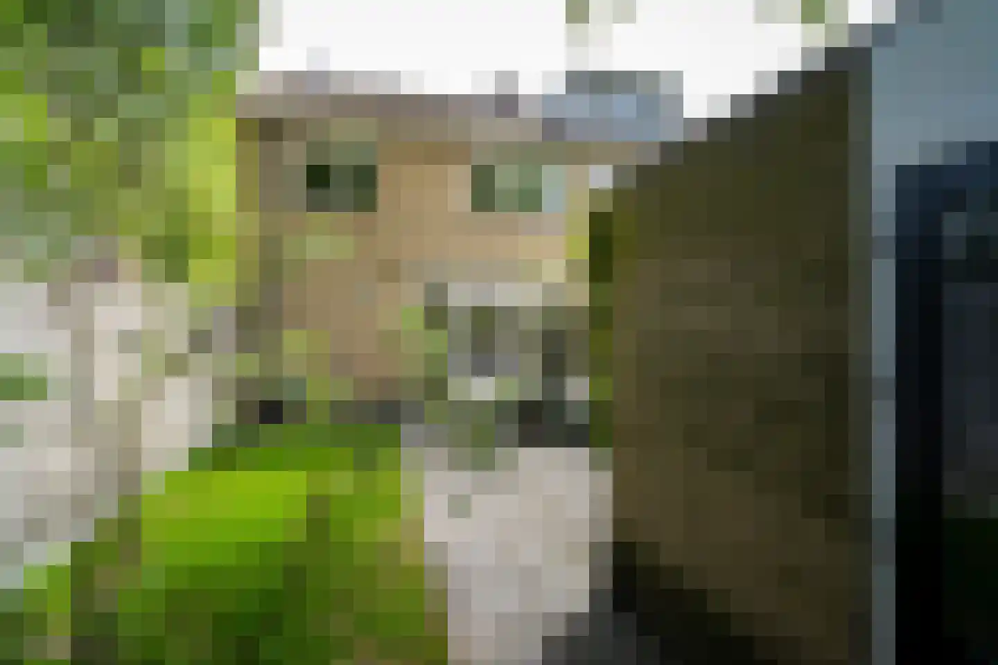 Slot Loevesteinstraat 1 Tilburg thumbnail 44