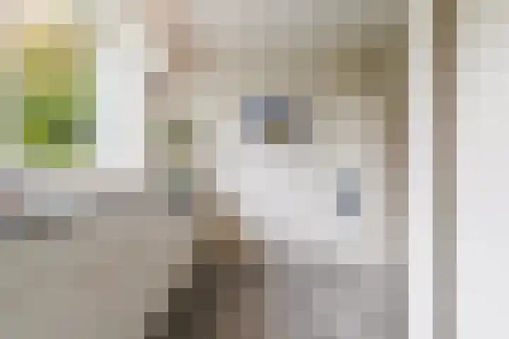 Slot Loevesteinstraat 29 Tilburg thumbnail 27