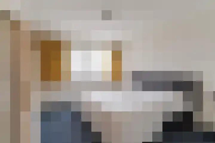 Slot Loevesteinstraat 29 Tilburg thumbnail 29