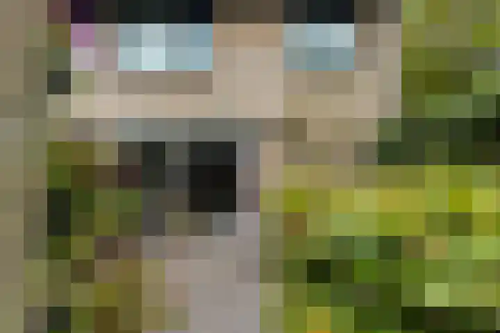 Slot Loevesteinstraat 29 Tilburg thumbnail 53
