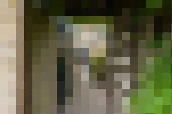 Slot Loevesteinstraat 29 Tilburg thumbnail 54