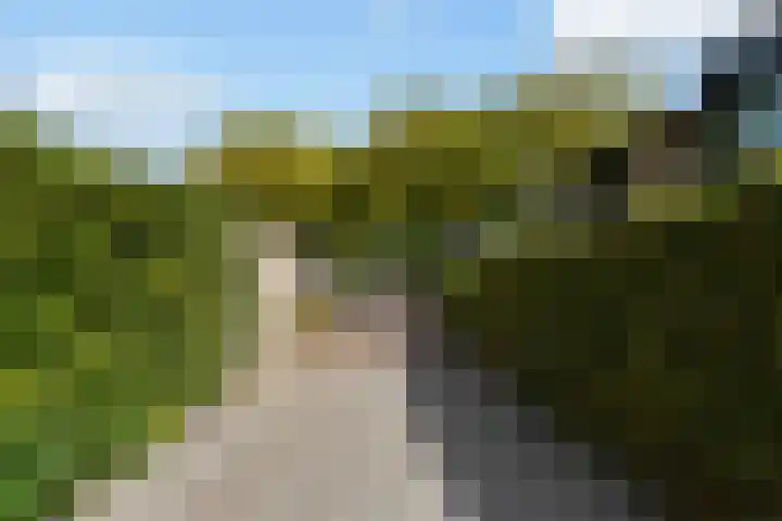 Slot Loevesteinstraat 29 Tilburg thumbnail 57