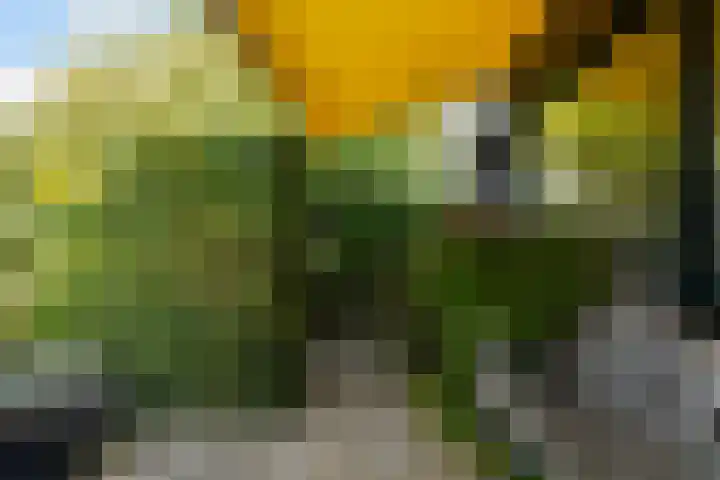 Slot Loevesteinstraat 29 Tilburg thumbnail 8